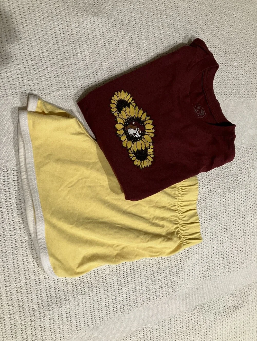 BUC-EES bucee graphic